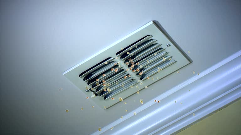 Best Affordable Air Duct Cleaning  in Kings Mountain, NC